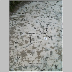 100_0919 (2009-27-07)m-labeled.jpg